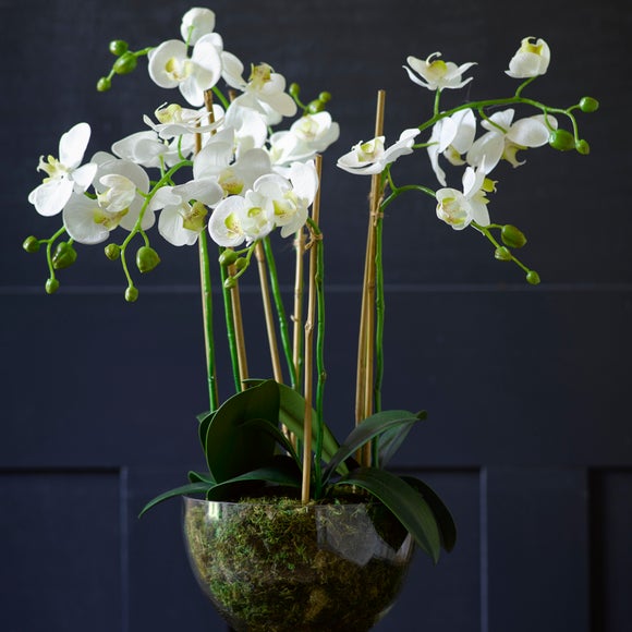 Artificial Grand Phalaenopsis Orchids Centrepiece in Vase