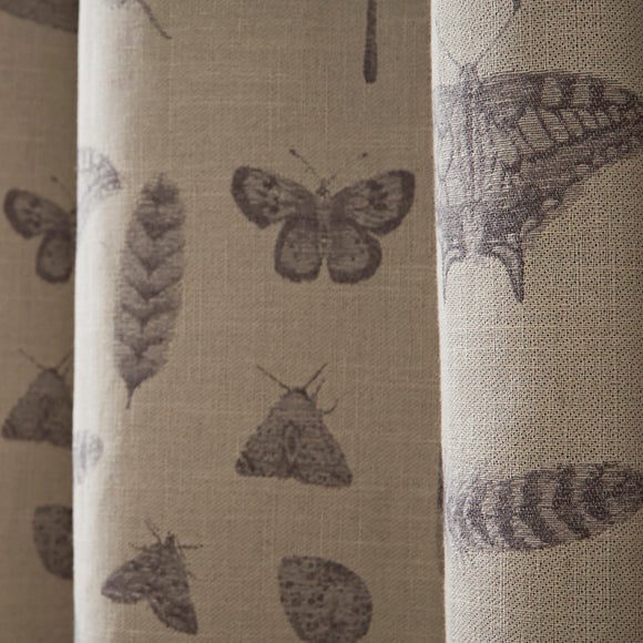 Natural History Museum Nature Study Eyelet Curtains, product image 3