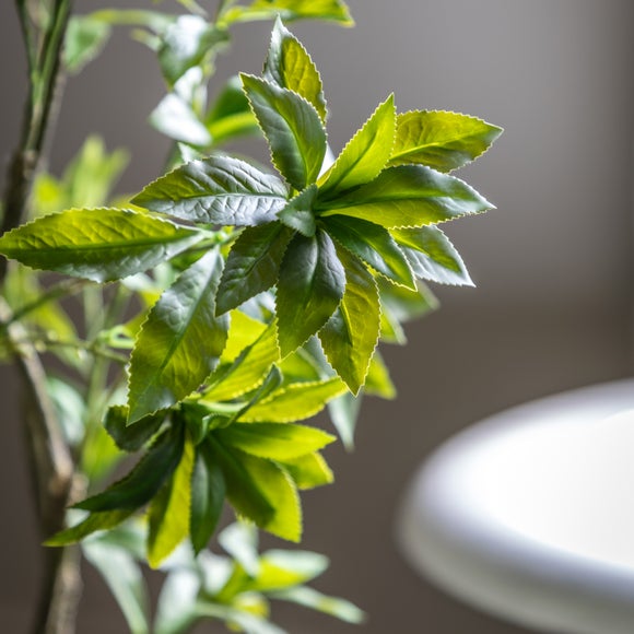 Artificial Pierisjaponica Tree in Black Plant Pot
